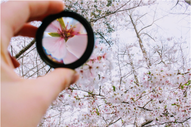How to Improve Focus