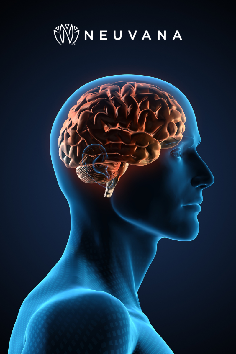Boost Your Brain Health with Vagus Nerve Stimulation