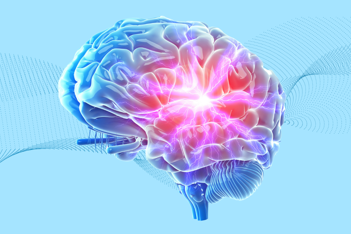an image of a brain