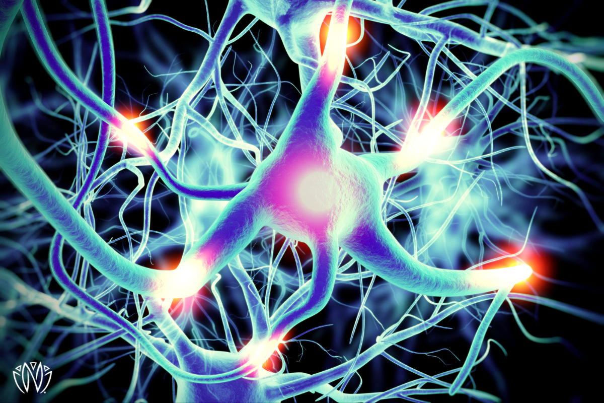 A black background with neon tubes all connected that represent a nerve and neuro firings of the nerve