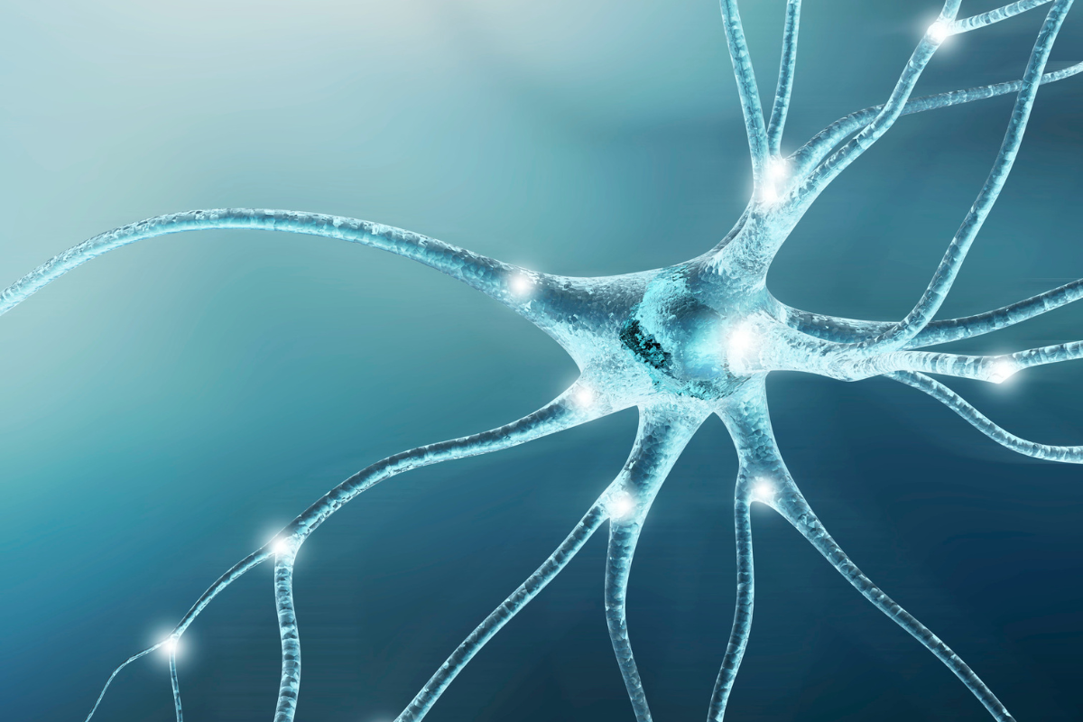 a closeup of a rendering of a blue and white nerve against a blue background