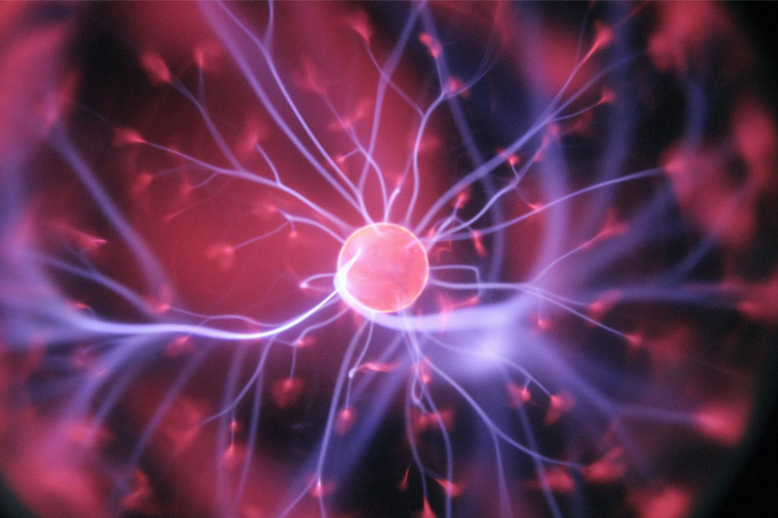 Mental Fitness: Our Guide To Brain Exercise