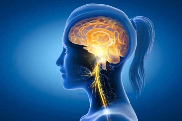 silhouette of a translucent cartoon woman with ponytail juxtaposed in blue with a glowing yellow brain