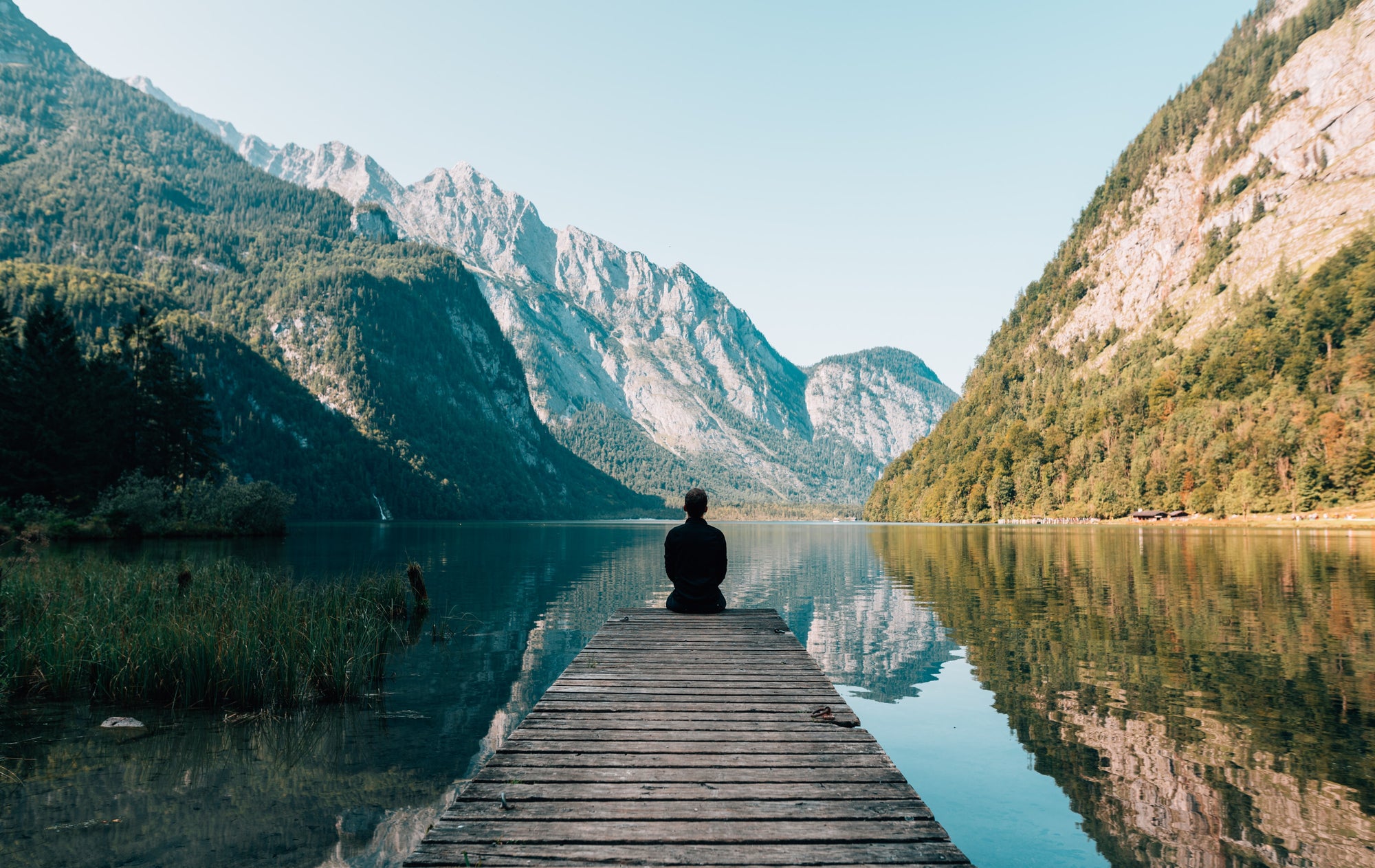 Stress Relieving Benefits of Xen