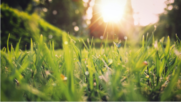 Spring into better wellness