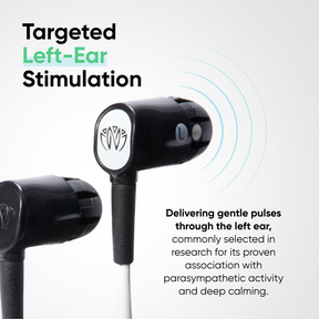 Neuvana Xen: Vagus Nerve Stimulator (International)